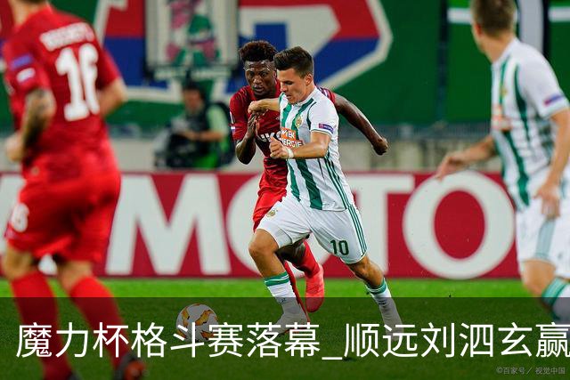 魔力杯格斗赛落幕 顺远刘泗玄赢下100公斤级